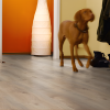 Laminatas padidinto atsparumo drėgmei Kronotex Mammut Plus D3669, 10 mm, 33 (1vnt - 1m2)-Laminatas